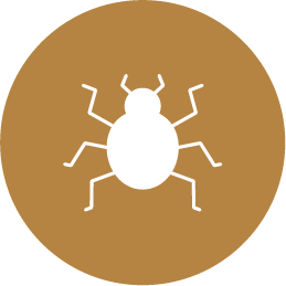 Pragas